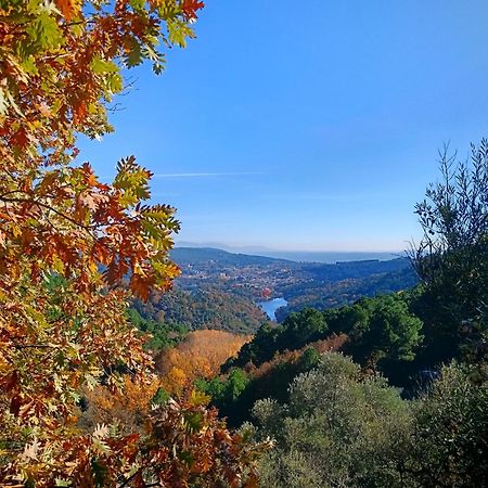 Estrellas De Gredos 阿雷纳斯德圣佩德罗 外观 照片