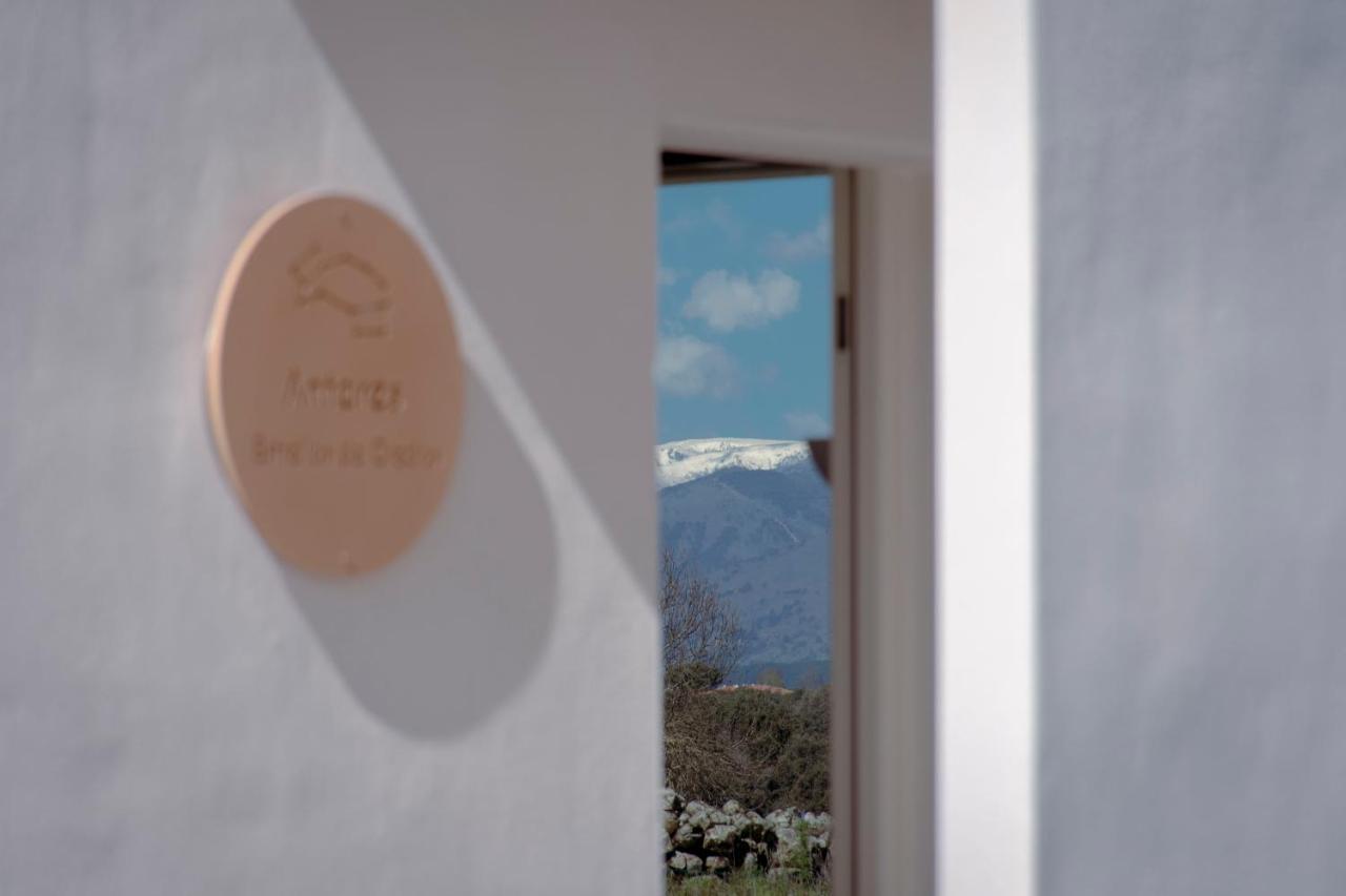 Estrellas De Gredos 阿雷纳斯德圣佩德罗 外观 照片
