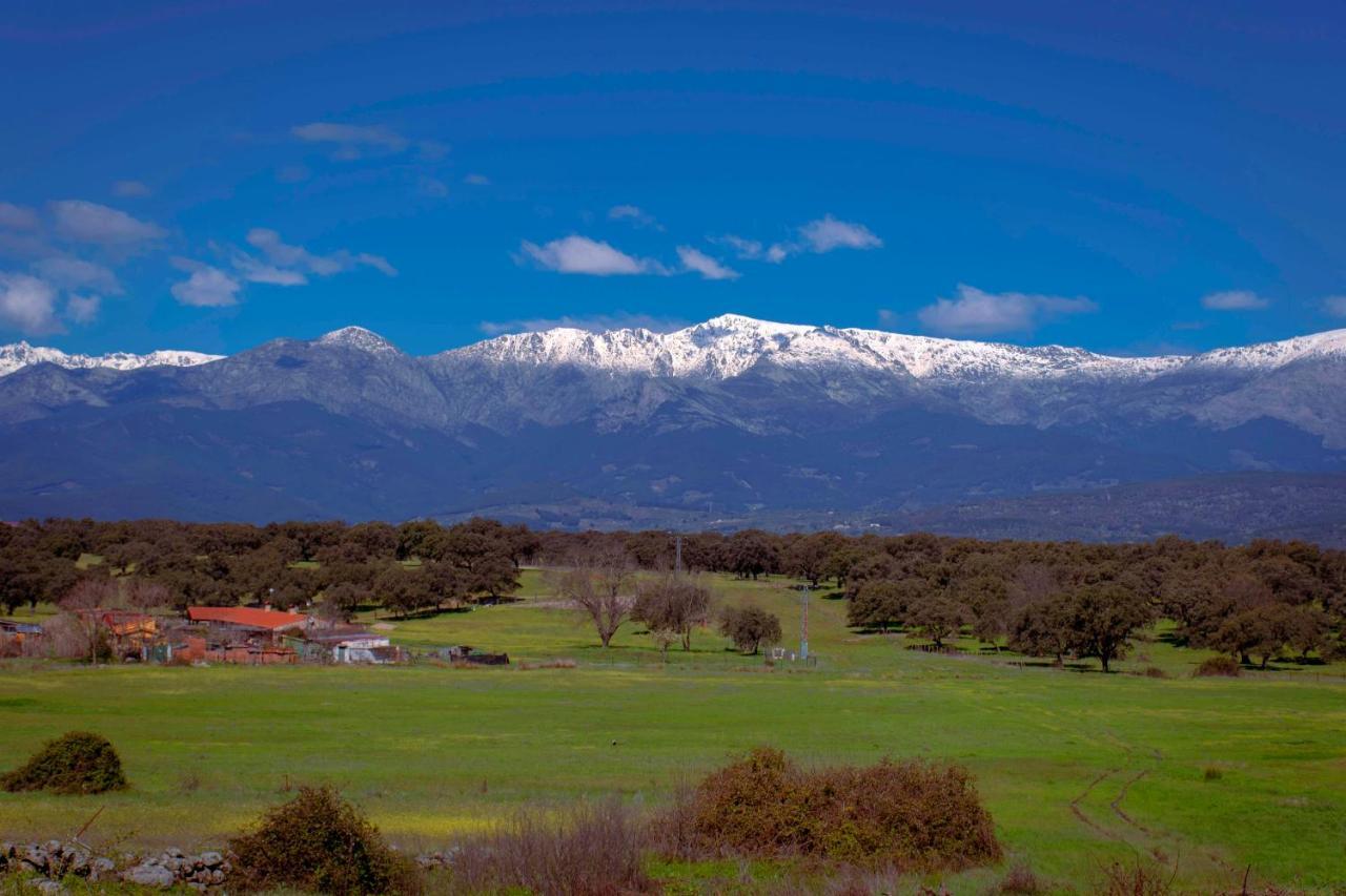 Estrellas De Gredos 阿雷纳斯德圣佩德罗 外观 照片