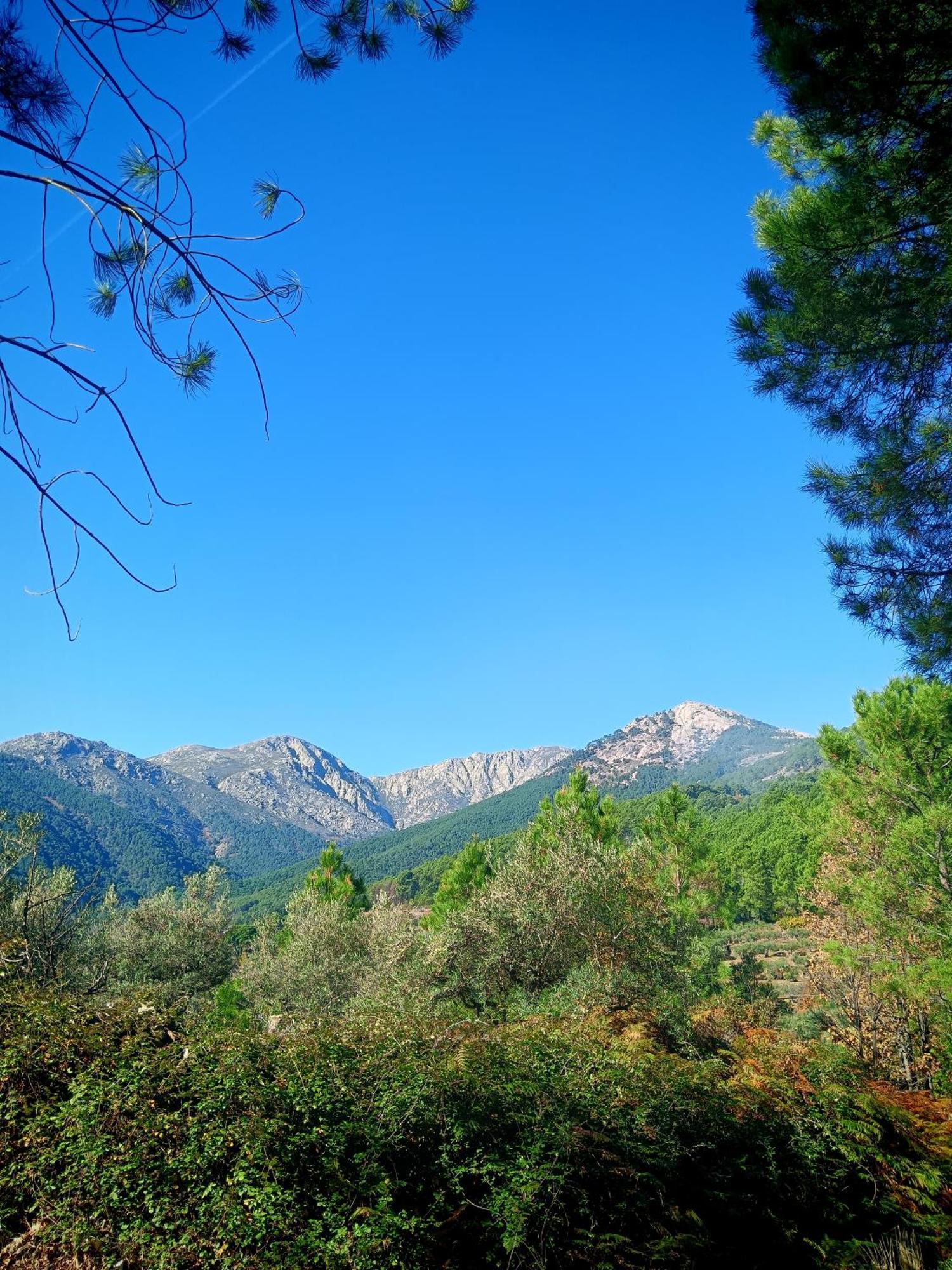 Estrellas De Gredos 阿雷纳斯德圣佩德罗 外观 照片